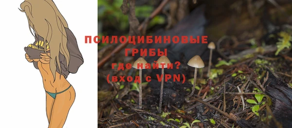 ALPHA PVP Алзамай
