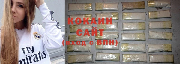 PSILOCYBIN Аркадак