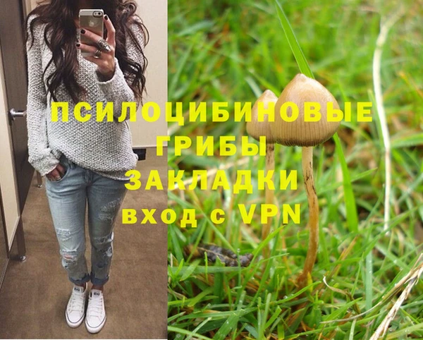 ALPHA PVP Алзамай