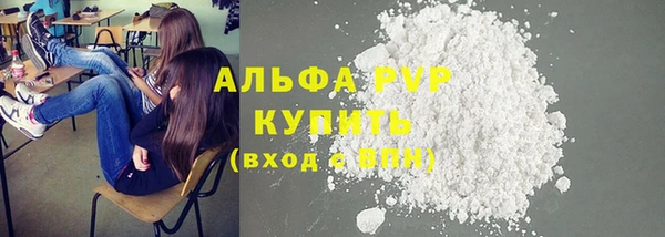 spice Билибино