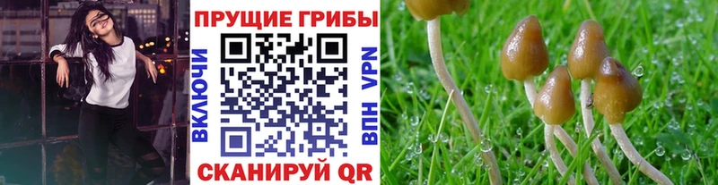 Псилоцибиновые грибы прущие грибы Электроугли